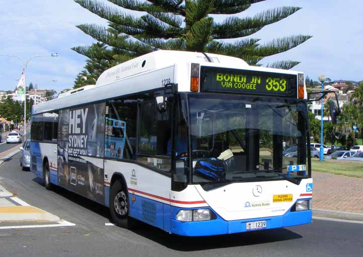 STA Mercedes O405NH Custom Citaro 1239